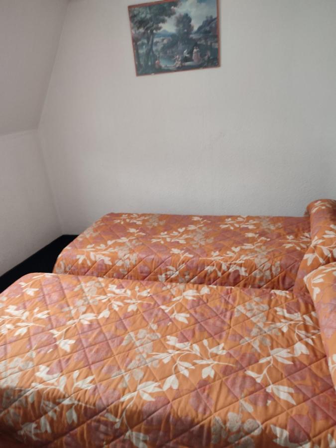 Hotel Du Commerce Et De Navarre ลูร์ด ภายนอก รูปภาพ
